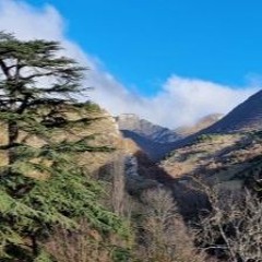 TribeCore Aliénné 9