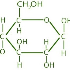 Sweet Muzic (Assoziative Musik III)