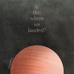 Is this where we landed?