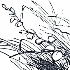 Prinz Vom Horberwald ft. Sandro S. x Stevie B.