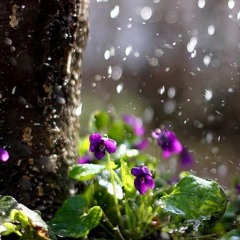 In  April by Rainer Maria Rilke
