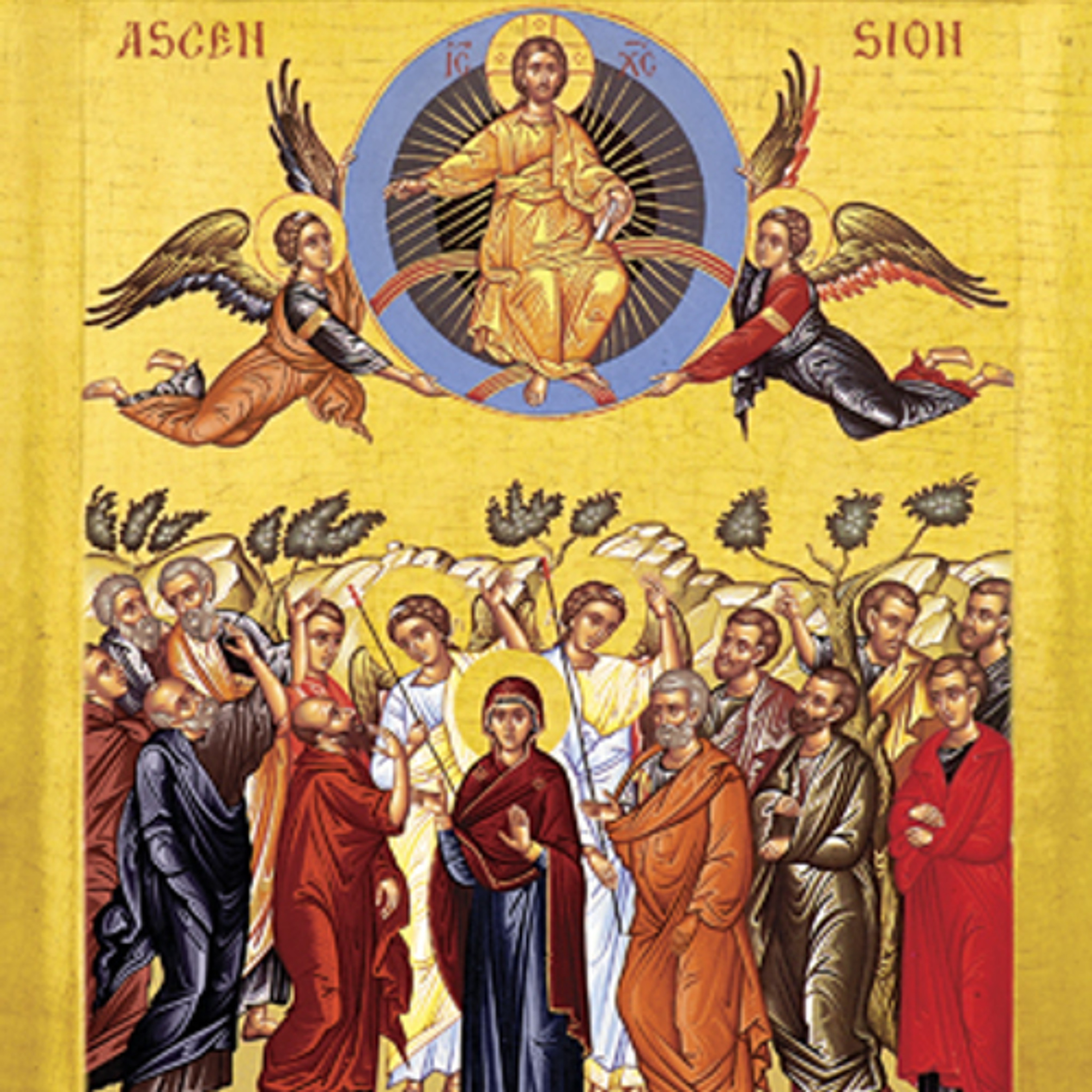 Christ's Ascension Brings Us All Before the Father episode artwork
