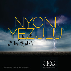Nyoni Yezulu (Radio Edit)