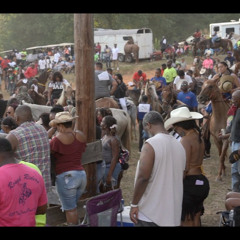 A Southern Soul Trailride Party Mix By Dj Coach D!