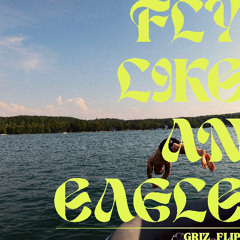 Fly Like An Eagle (GRiZ Flip)