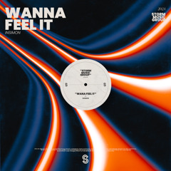 Wanna Feel It (Radio Edit)