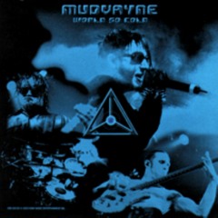World So Cold (Mudvayne Cover)