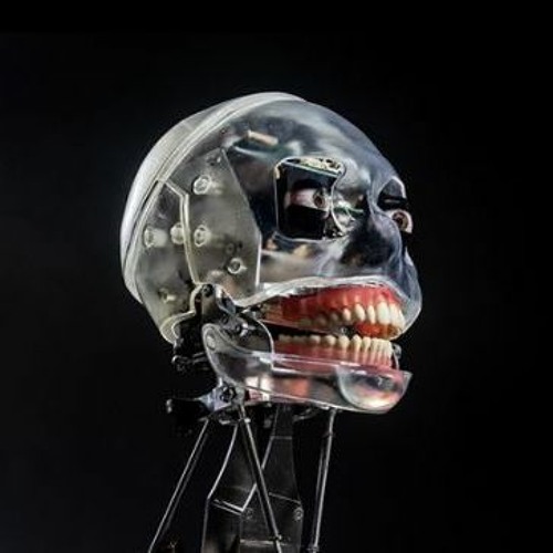 TBD 006 010d - Is this even Real?