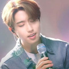 [리무진서비스] Stray Kids HAN | CASE 143, Alcohol-Free, 흰수염고래, 긴 꿈