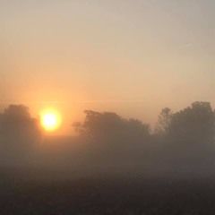 Club Sunset