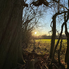 Sunday afternoon mix