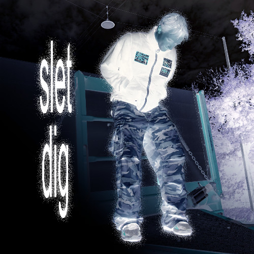 slet dig//nål