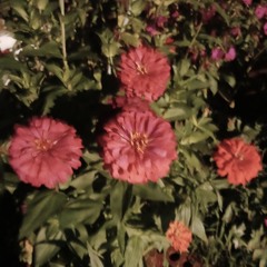 Dangerous Zombie Prototype