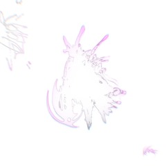 ❨Lux/fel0❩