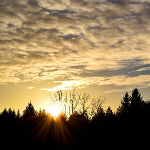 Stream Dave Bixby Morning Sun (cover) by Michal Schejbal Listen