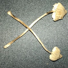 Good Life Slowed + Reverb