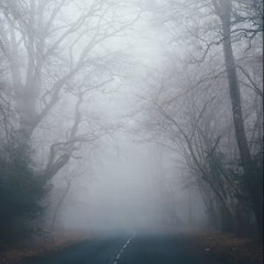 Classic Trance 14: FOG