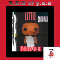 R.E.D of y.a.e - Limitless lost file