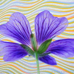 violets (prod. mantra x mcx)