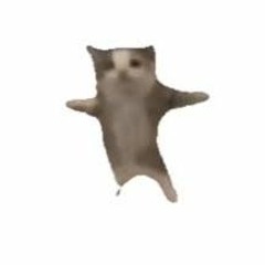 해삐 해삐 해삐