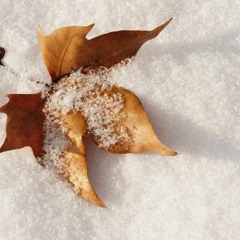 [Free] Sixthells, Bones Type Beat - Autumn Snow