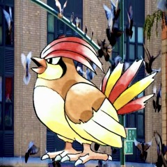 pidgeotto type beat (prod. mudkupz)