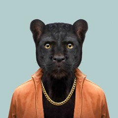 Wotatune - PHOENIX RISING