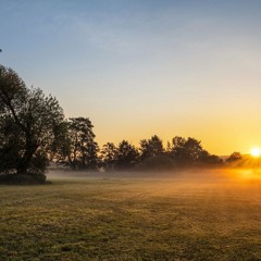 DeepThinker - Morning Dawn