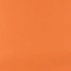 world (ikari + jannah)