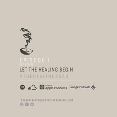 S6 - Ep 1 - Let The Healing Begin