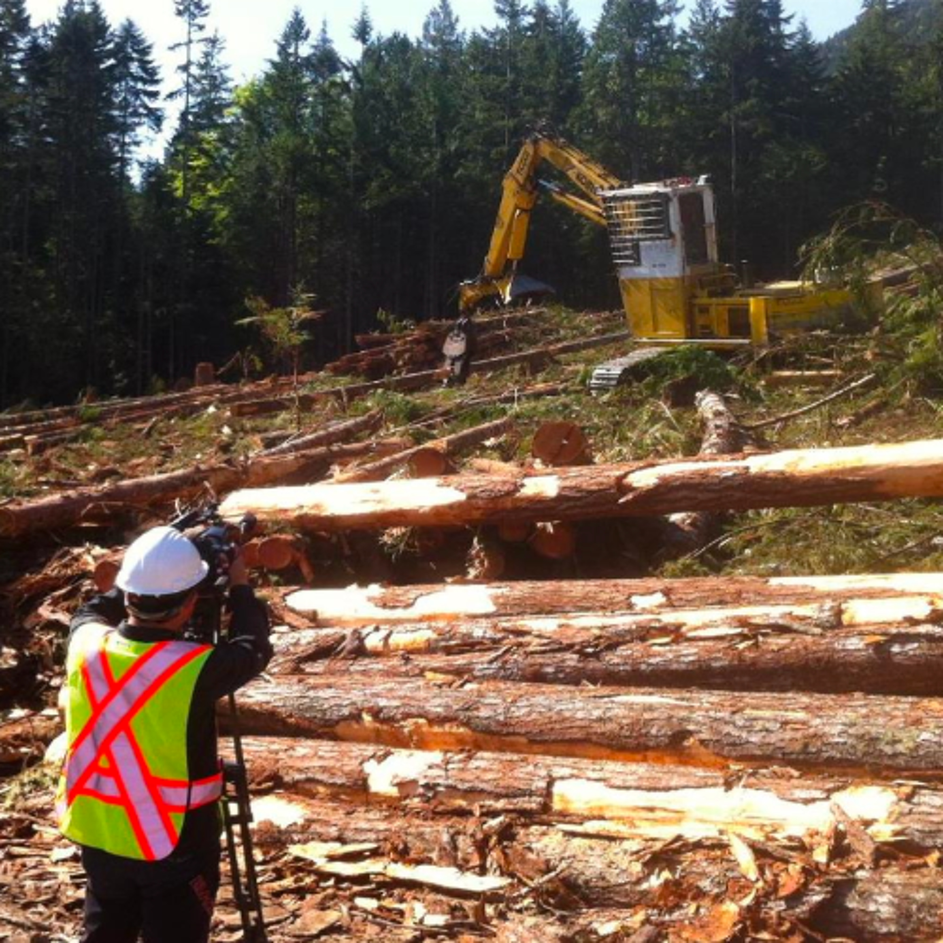 BC's Chief Forester Tells the SRD the State of BC's Forests, or not episode artwork
