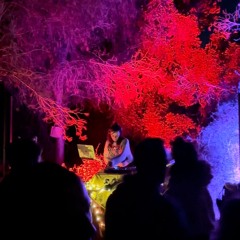 Forest Gathering - closing set 14.12.24