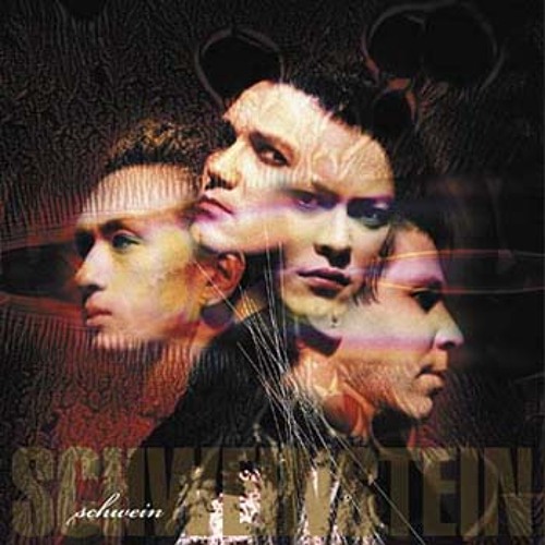 Schwein - Slip