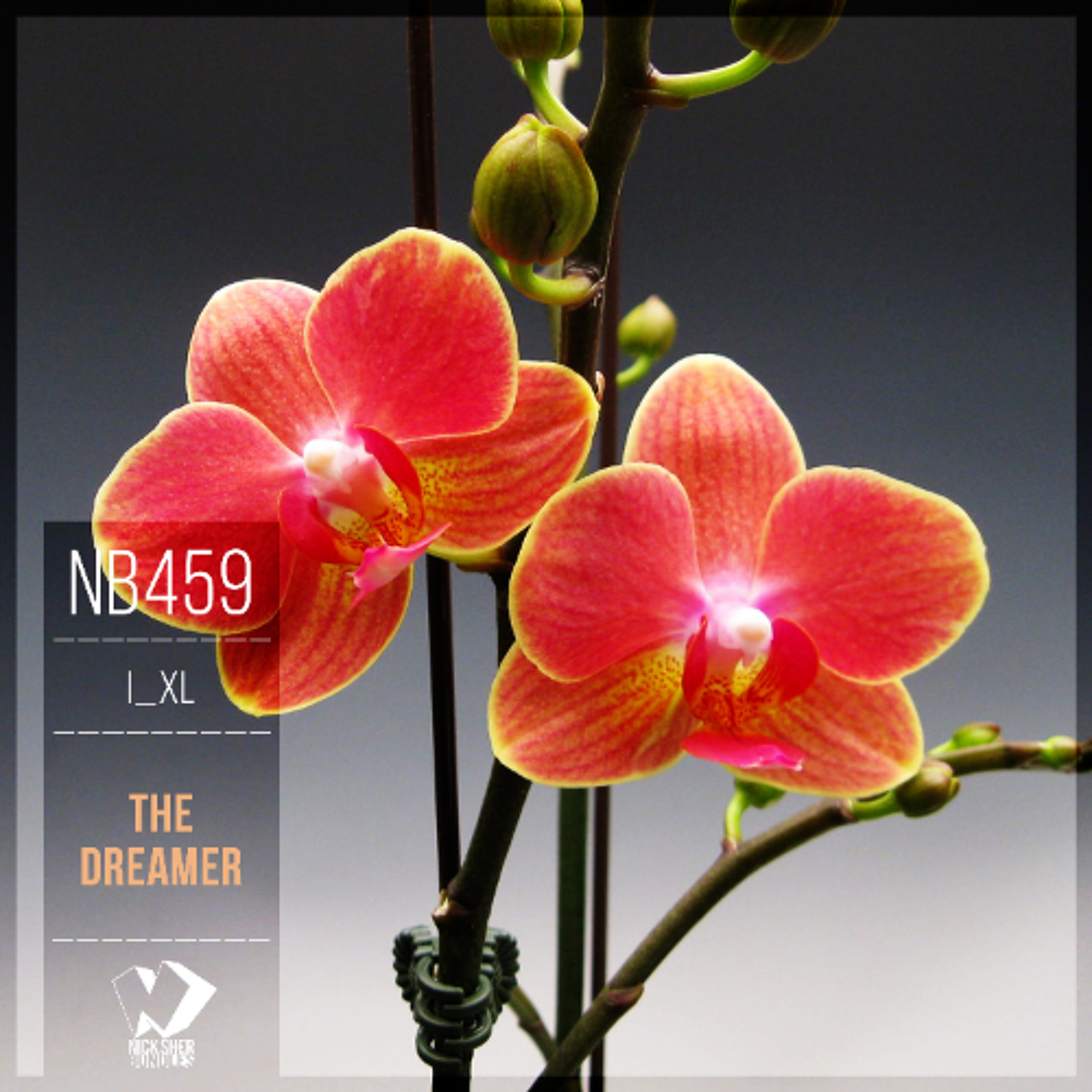 I_XL - Experiences (Original Mix) episode artwork