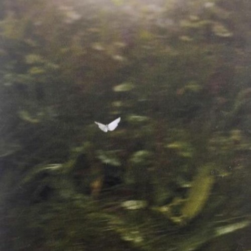연당(rough demo)