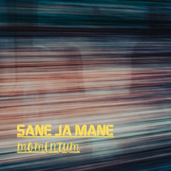 Momentum (Original Mix)