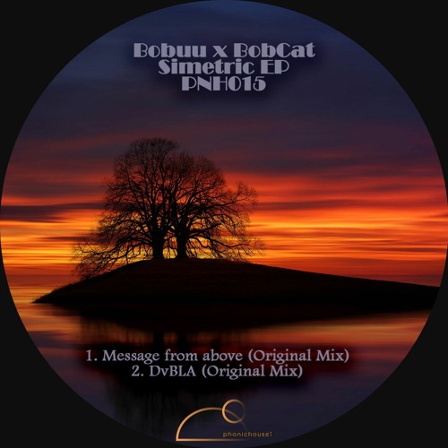 Message from above [PNH015] snippet