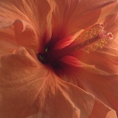 Damian Eskridge - Broken Heart (Re-Mastered)