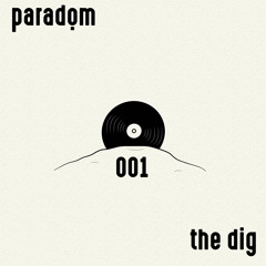 the dig 001