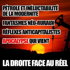 Énergie, décroissance & capitalisme… La Droite face au réel – Perspectives #5 avec Guillaume Travers