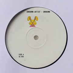 PREMIERE: Unknown Artist - Unknown (Original Mix)(AZ003) [Bandcamp Release]