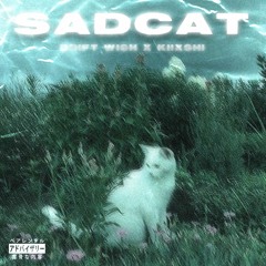 SADCAT (feat. KIIXSHI)