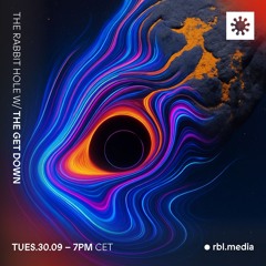 The Get Down presents: The Rabbit Hole - SALTO Festival Special