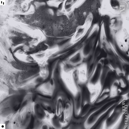 Modes - 02122020 B [Entangled Visions]