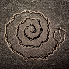 The Slow Path - Special Gasteropod init DjSet