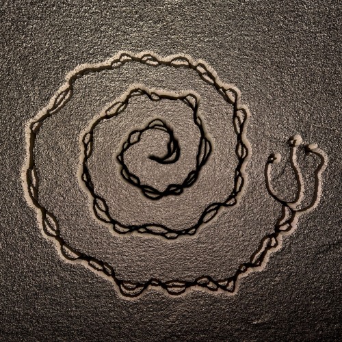 The Slow Path - Special Gasteropod init DjSet