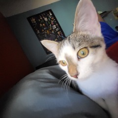 ilovemyfriends                 23