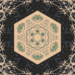Solar Plexus
