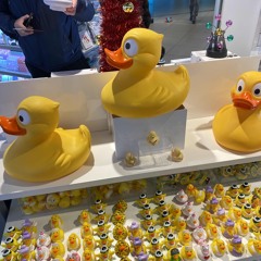 🦆 Tracks