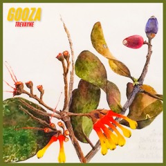 Gooza